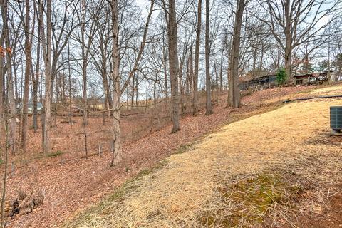 380 Lovelace Mountain View Loop Fall Branch Tn 37656, Fall Branch, TN 37656 photo 39