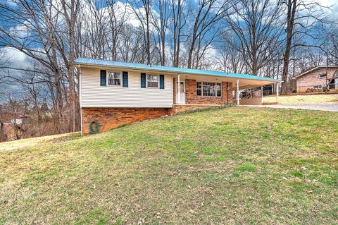 380 Lovelace Mountain View Loop Fall Branch Tn 37656, Fall Branch, TN 37656 photo 4