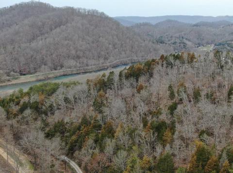 390 D Lawson Road Eidson Tn 37731, Eidson, TN 37731 photo 17