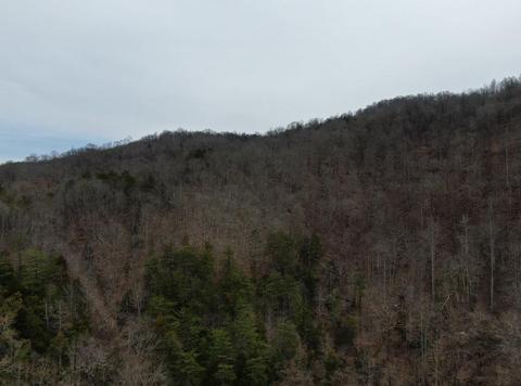 390 D Lawson Road Eidson Tn 37731, Eidson, TN 37731 photo 7