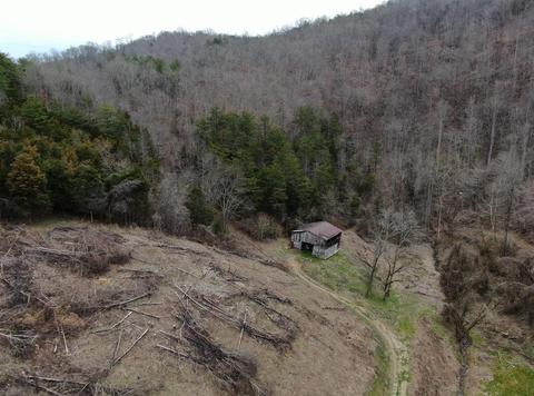 390 D Lawson Road Eidson Tn 37731, Eidson, TN 37731 photo 28