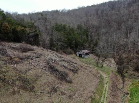 390 D Lawson Road Eidson Tn 37731, Eidson, TN 37731 photo 27