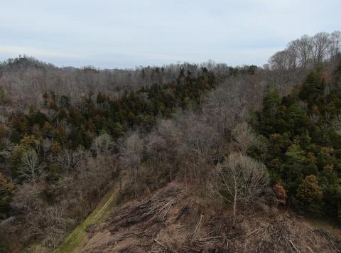 390 D Lawson Road Eidson Tn 37731, Eidson, TN 37731 photo 9