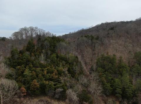 390 D Lawson Road Eidson Tn 37731, Eidson, TN 37731 photo 8