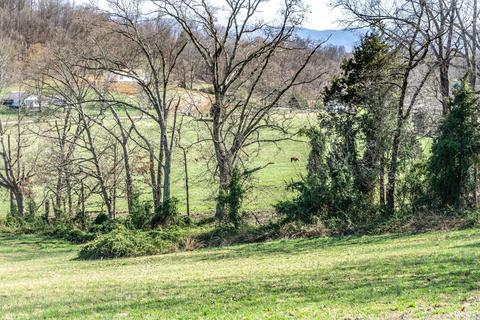 7806 Old Stage Road Chuckey Tn 37641, Chuckey, TN 37641 photo 52