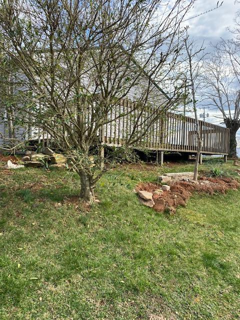 229 Vance Street Bristol Va 24201, Bristol, VA 24201 photo 32