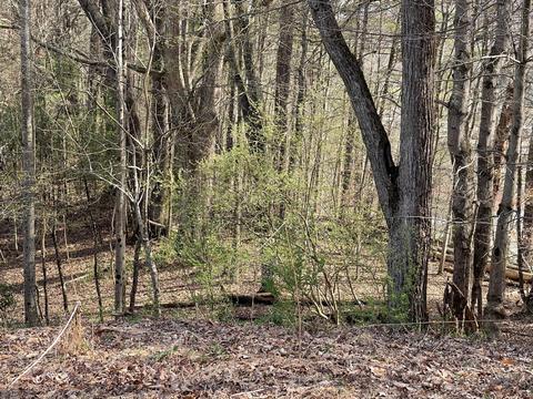 tbd Charles St Lot 5 Clintwood Va 24228, Clintwood, VA 24228