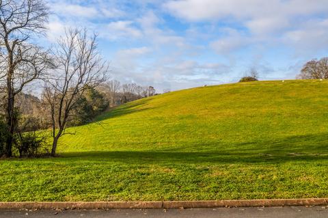 lot43 Cow Poke Lane Rutledge Tn 37861, Rutledge, TN 37861