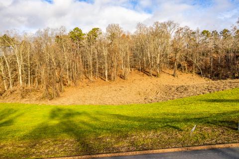 lot56 Cow Poke Lane Rutledge Tn 37861, Rutledge, TN 37861