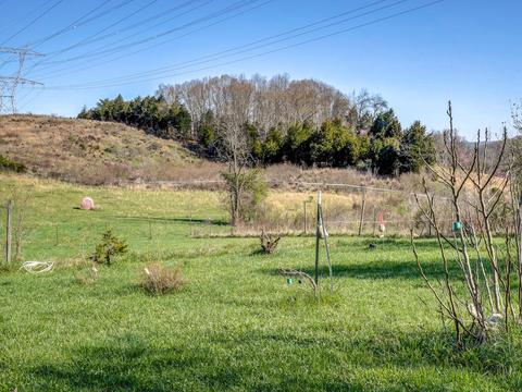 162 Hicks Drive Gray Tn 37615, Gray, TN 37615 photo 8