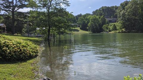 2934 Lake Forest Circle Talbott Tn 37877, Talbott, TN 37877 photo 22