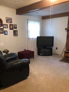 111 Tilson Avenue Hampton Tn 37658, Hampton, TN 37658 photo 10