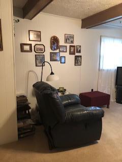111 Tilson Avenue Hampton Tn 37658, Hampton, TN 37658 photo 9