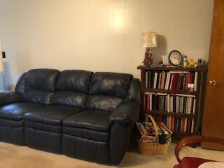 111 Tilson Avenue Hampton Tn 37658, Hampton, TN 37658 photo 14