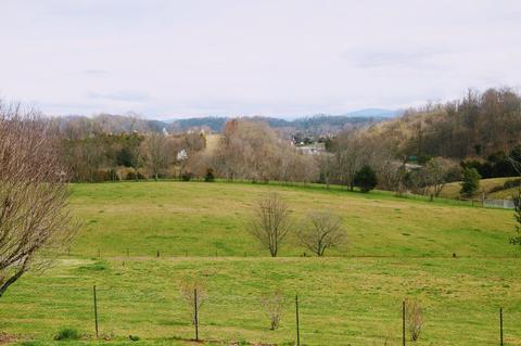 970 Old Stage Road Gray Tn 37615, Gray, TN 37615 photo 36