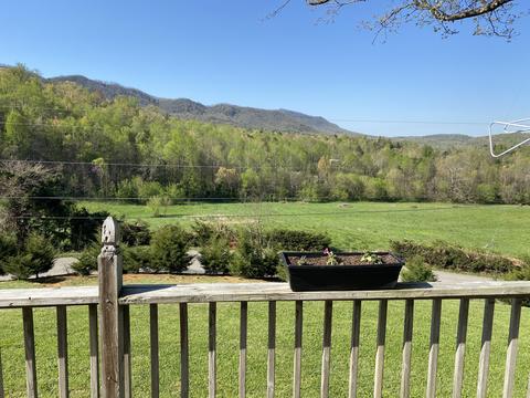 1401 Fishpond Road Chuckey Tn 37641, Chuckey, TN 37641 photo 10