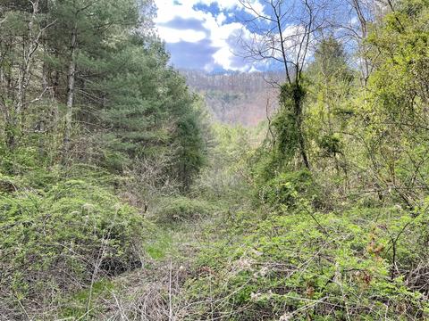 tbd Orby Cantrell Highway Wise Va 24293, Wise, VA 24293