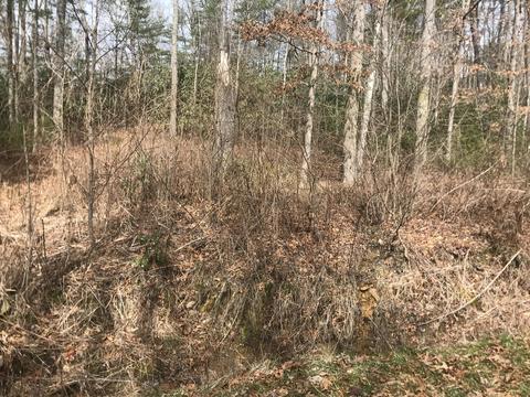 0000 Rhea Ln Mountain City Tn 37683, Mountain City, TN 37683