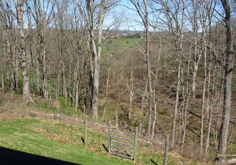379 Culver Road Limestone Tn 37681, Limestone, TN 37681 photo 19
