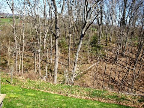 379 Culver Road Limestone Tn 37681, Limestone, TN 37681 photo 18