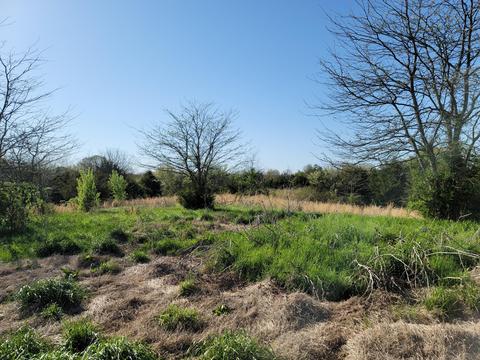 395 Bible Road Mohawk Tn 37810, Mohawk, TN 37810 photo 25