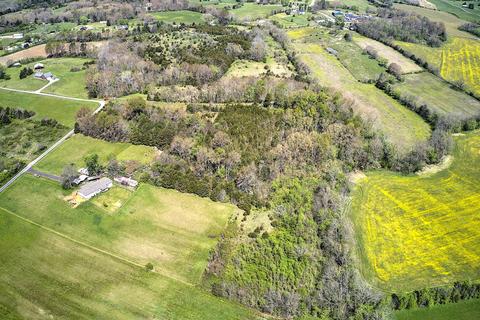 395 Bible Road Mohawk Tn 37810, Mohawk, TN 37810 photo 6