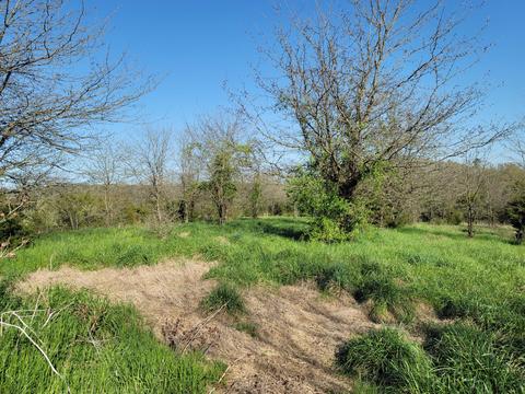 395 Bible Road Mohawk Tn 37810, Mohawk, TN 37810 photo 26