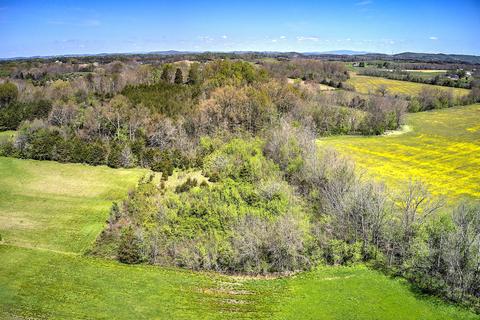 395 Bible Road Mohawk Tn 37810, Mohawk, TN 37810 photo 21