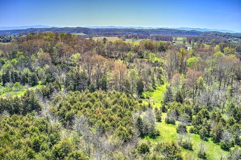 395 Bible Road Mohawk Tn 37810, Mohawk, TN 37810 photo 35