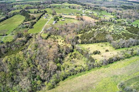395 Bible Road Mohawk Tn 37810, Mohawk, TN 37810 photo 10