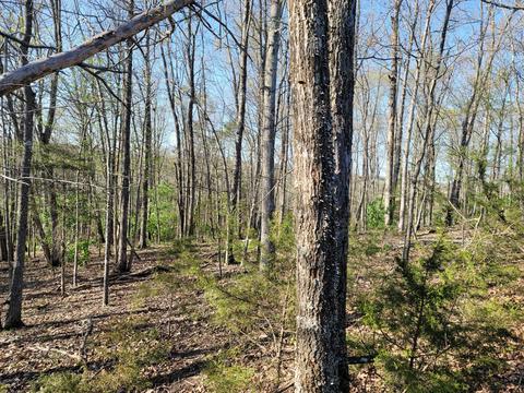 395 Bible Road Mohawk Tn 37810, Mohawk, TN 37810 photo 23