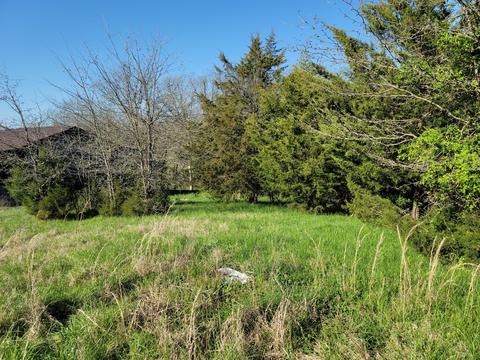 395 Bible Road Mohawk Tn 37810, Mohawk, TN 37810 photo 31