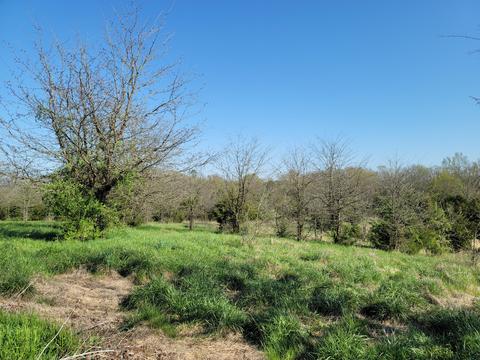 395 Bible Road Mohawk Tn 37810, Mohawk, TN 37810 photo 27
