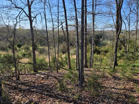 395 Bible Road Mohawk Tn 37810, Mohawk, TN 37810 photo 3