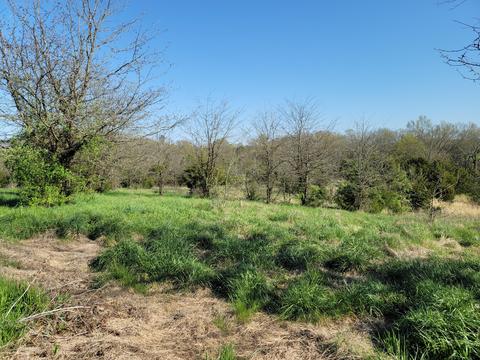 395 Bible Road Mohawk Tn 37810, Mohawk, TN 37810 photo 28