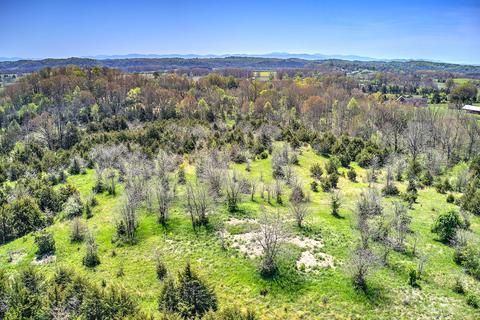 395 Bible Road Mohawk Tn 37810, Mohawk, TN 37810 photo 36