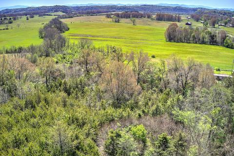 395 Bible Road Mohawk Tn 37810, Mohawk, TN 37810 photo 20