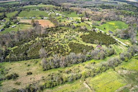 395 Bible Road Mohawk Tn 37810, Mohawk, TN 37810 photo 11