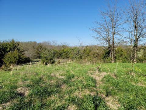395 Bible Road Mohawk Tn 37810, Mohawk, TN 37810 photo 30