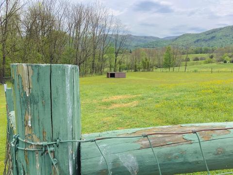 1992 Conklin Road Road Limestone Tn 37681, Limestone, TN 37681 photo 11