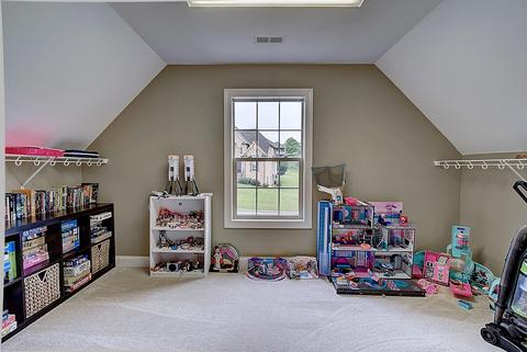 144 Sunset Meadows Court Gray Tn 37615, Gray, TN 37615 photo 37