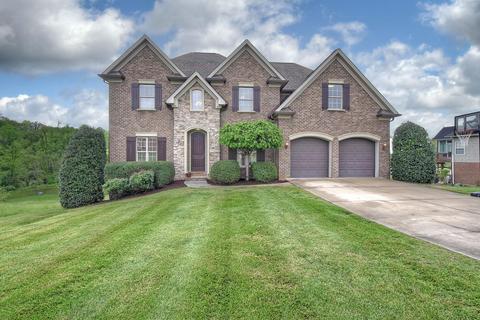 144 Sunset Meadows Court Gray Tn 37615, Gray, TN 37615 photo 2