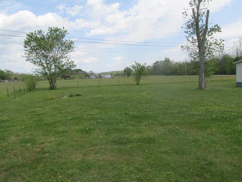 3180 N Mohawk Road Mohawk Tn 37810, Mohawk, TN 37810 photo 5