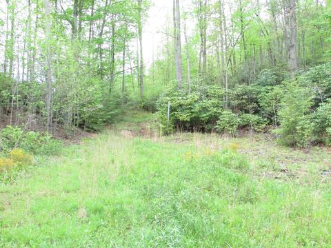 167 Violet Lane Hampton Tn 37658, Hampton, TN 37658 photo 9