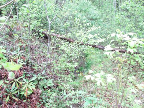 167 Violet Lane Hampton Tn 37658, Hampton, TN 37658 photo 11