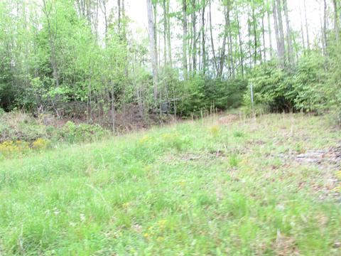 167 Violet Lane Hampton Tn 37658, Hampton, TN 37658 photo 14