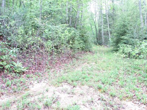 167 Violet Lane Hampton Tn 37658, Hampton, TN 37658 photo 12