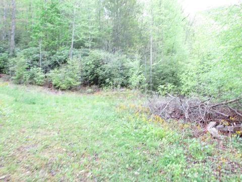 167 Violet Lane Hampton Tn 37658, Hampton, TN 37658 photo 6