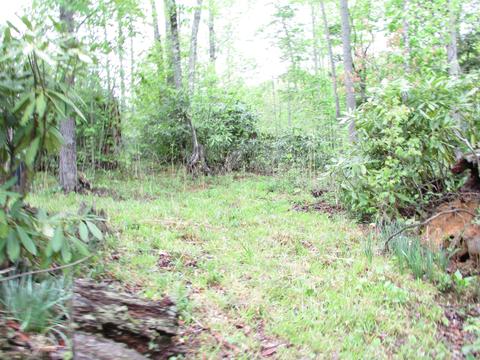 167 Violet Lane Hampton Tn 37658, Hampton, TN 37658 photo 17