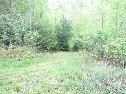 167 Violet Lane Hampton Tn 37658, Hampton, TN 37658 photo 7